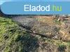 Csods panorms sszkzmves telek - Szada