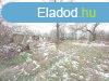 Szolnok kzelben lv 2,6 HA -os tanya elad, M4-es t mell