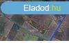3,73 Ha mret abonyi sznt, legel elad - Abony
