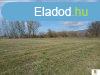Piliscsv, 2214 m2, 33500000 HUF [4425_327]