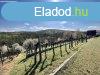 Elad 80m2-es Nyaral, Balatonlelle