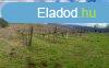 Elad 0Zrtkert, Balatonlelle