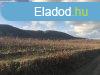 Elad panorms telek
