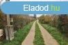 Elad dltelek Balatonkenese