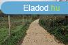 Elad dltelek Balatonkenese