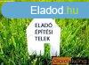 Elad 61 368m2-es Iparterlet, Bkscsaba