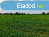 Elad ptsi telek Kaposvr