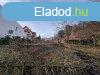 Elad 3.kerletben, Tborhegyen egy panorms ptsi telek,
