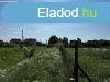 Elad pitsi Telek