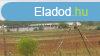 Srospatak mellett alkalmi ron elad egy szntfld, llatt