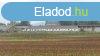Srospatak mellett alkalmi ron elad egy szntfld, llatt