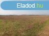 Elad 0Klterlet, Ft