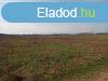 Elad 0Klterlet, Ft