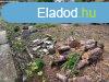 Elad 0ptsi telek, Gd