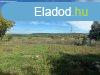 Elad 0Zrtkert, Ft