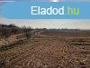 Elad 0Tanya, Ft