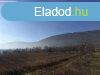 Balatoni rszpanorms telek elad Balatonedericsen