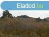 Cserszegtomajon madrcsicsergs helyen telek elad
