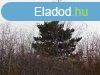 Cserszegtomajon madrcsicsergs helyen telek elad