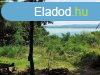 Balatoni panorms telek, sajt tulajdon erdrsszel Rvfl