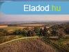 Zalaszabaron sznt elad
