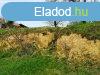 Elad 1013 nm-es Feljtott zlet Kkny