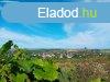 Tabon j llapot pince gondozott zrtkertben elad