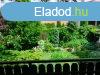 Elad csaldi hz/apartmanhz Hvz belvrosban