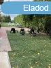 Elad 60 nm-es Feljtott Egyb Gnt