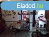 Elad 160 nm-es jszer llapot Csaldi hz Ostoros