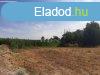 Elad csaldi hz Onga, 	Kossuth utca