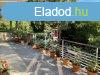 Elad csaldi hz Budakeszi, 	Mriamakk