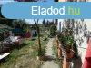 Elad csaldi hz Vcrtt, 	csendes utcban