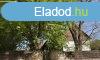 Elad csaldi hz Gyr, 	zldvezet, lettr