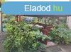 Szeged alsvrosi 3 szobs j llapot hz elad
