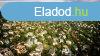 Elad 320m2-es Csaldi hz, Budapest, II. kerlet