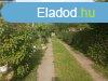 Elad 140m2-es Csaldi hz, Dormnd
