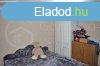 Miskolctl 17 km-re, Gesztelyben elad egy 85 m2-es, 2 s f