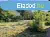 KOMLSTETN INGATLAN ELAD! - Miskolc