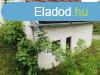 Elad prshz s szl - Pcsely