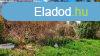Elad FELJTAND csaldi hz - Marcali-Bize