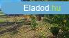 Elad 80 nm-es Csaldi hz Baracs
