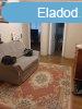 Elad 95 nm-es Feljtott Ikerhz Debrecen