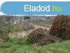 Balaton krnykn 3/6-od tulajdonrsz elad! - Kard