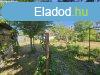 Elad Hz, Ppa 34.900.000 Ft