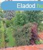 Szolnokon, belvroshoz kzeli hromszintes csaldi hz elad