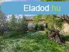 Elad 100 nm-es Feljtand Csaldi hz Gyula