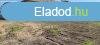 Elad 150 nm-es Feljtand Csaldi hz Ggny Dombrdi t  
