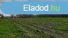 elad lakhz Nyrsapt