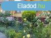 Elad 3 szobs csaldi hz Tiszafreden, a szabadstrand kze